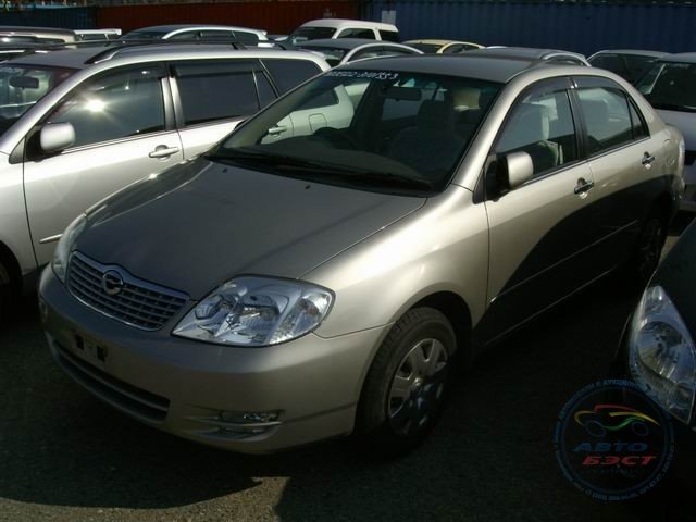 TOYOTA COROLLA LUXEL