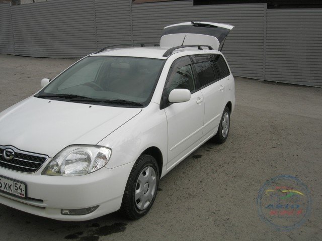 Toyota Corolla Fielder 2003 серебристый