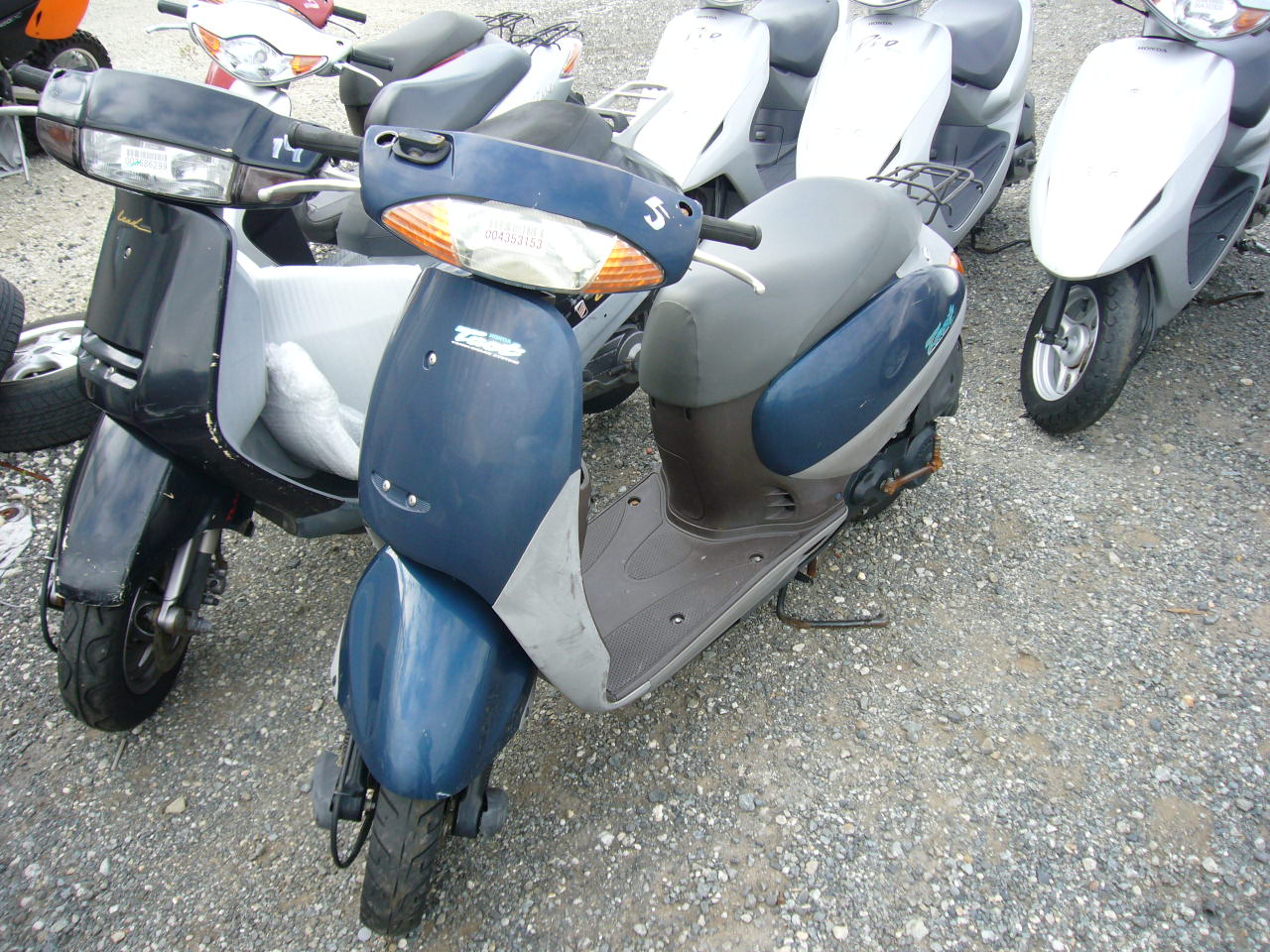 Honda tact af 31