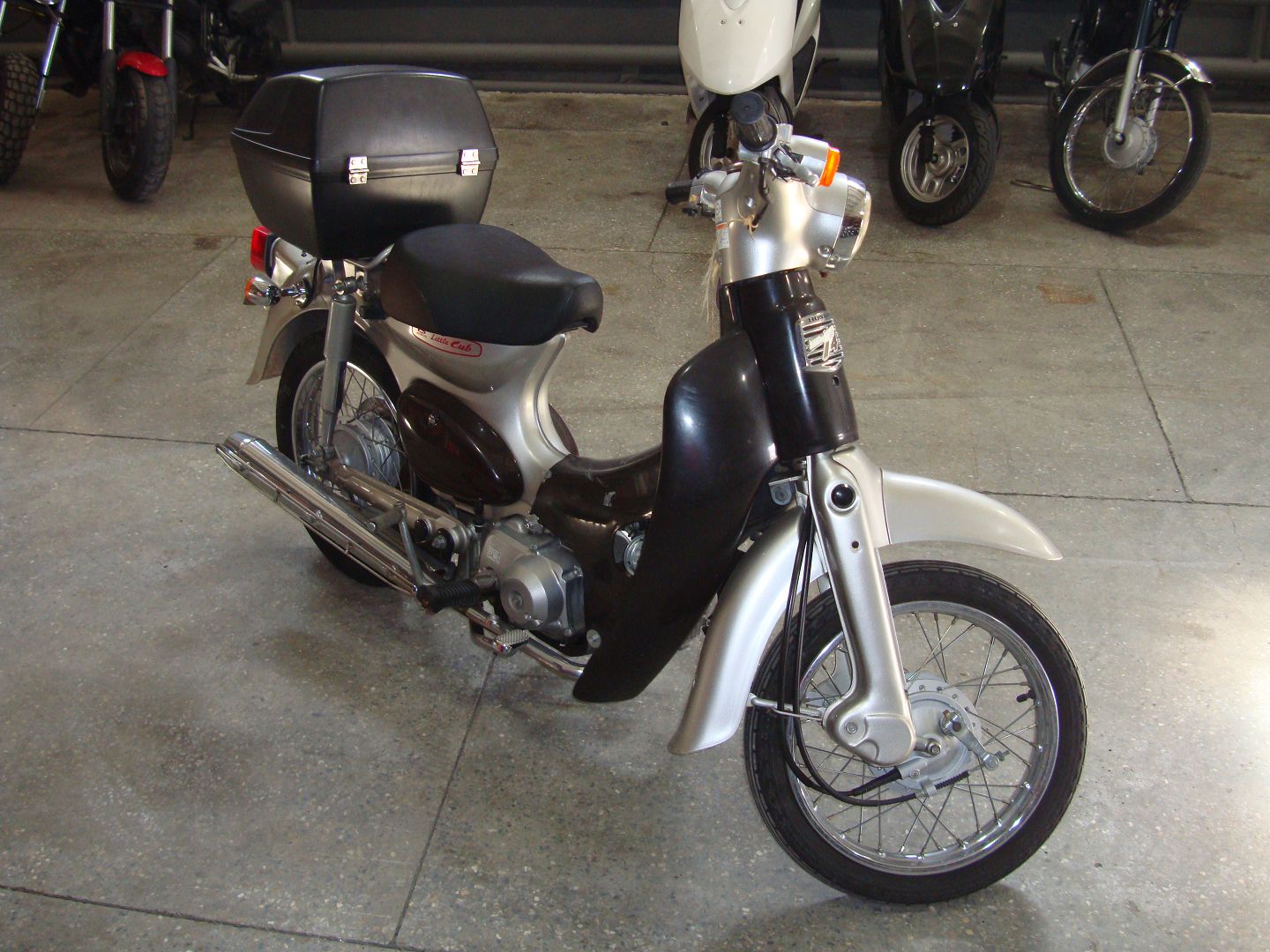 Honda little cub 50