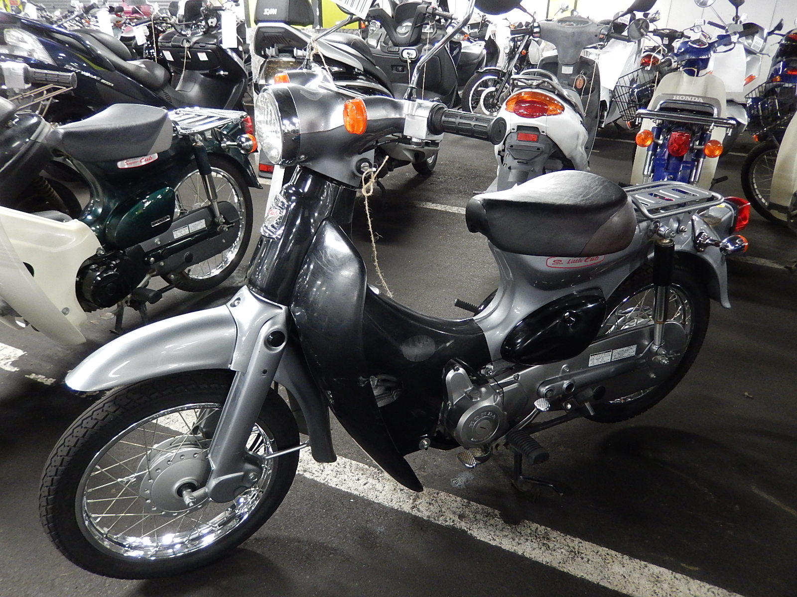 Honda little cub 50