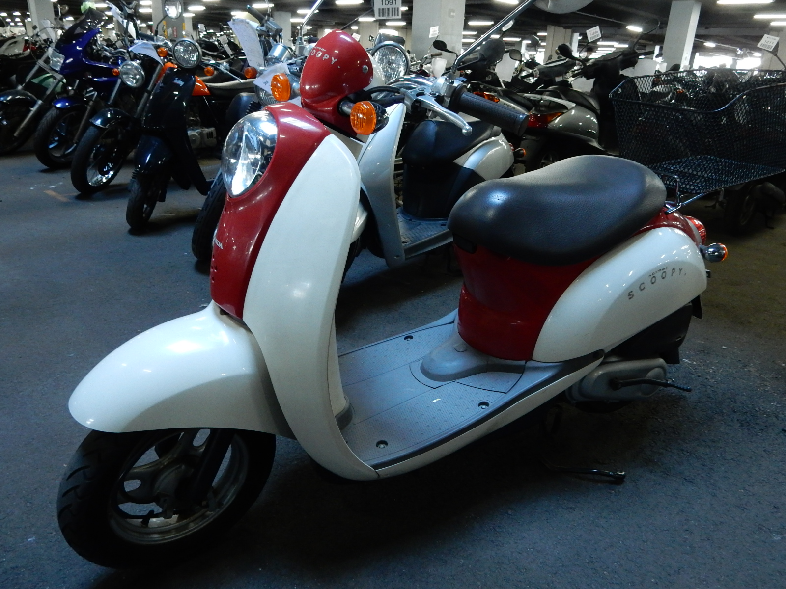 Honda crea scoopy af55